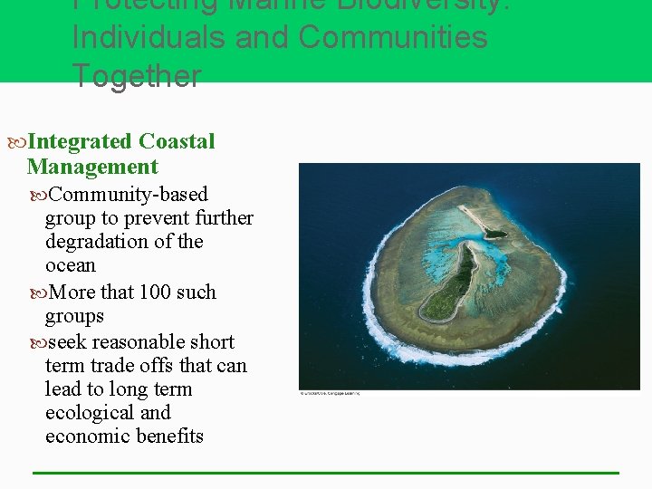 Protecting Marine Biodiversity: Individuals and Communities Together Integrated Coastal Management Community-based group to prevent