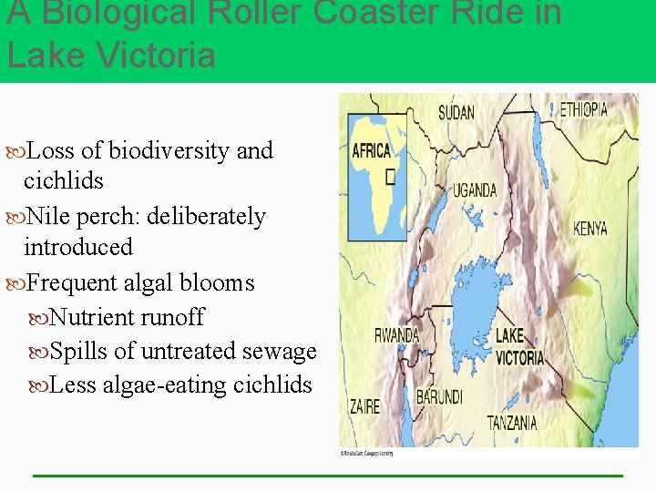 A Biological Roller Coaster Ride in Lake Victoria Loss of biodiversity and cichlids Nile