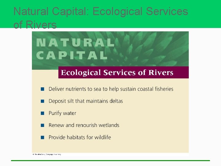 Natural Capital: Ecological Services of Rivers 