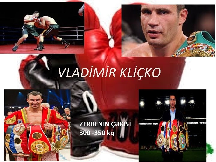 VLADİMİR KLİÇKO ZERBENİN ÇƏKİSİ 300 -350 kq 