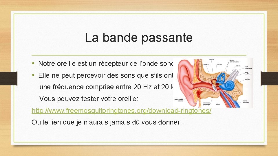 La bande passante • Notre oreille est un récepteur de l’onde sonore. • Elle