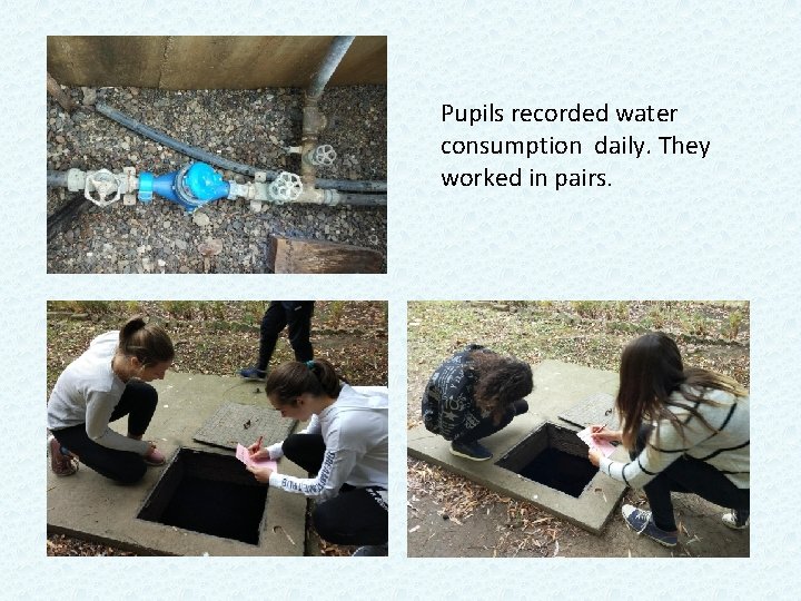 Pupils recorded water consumption daily. They worked in pairs. 