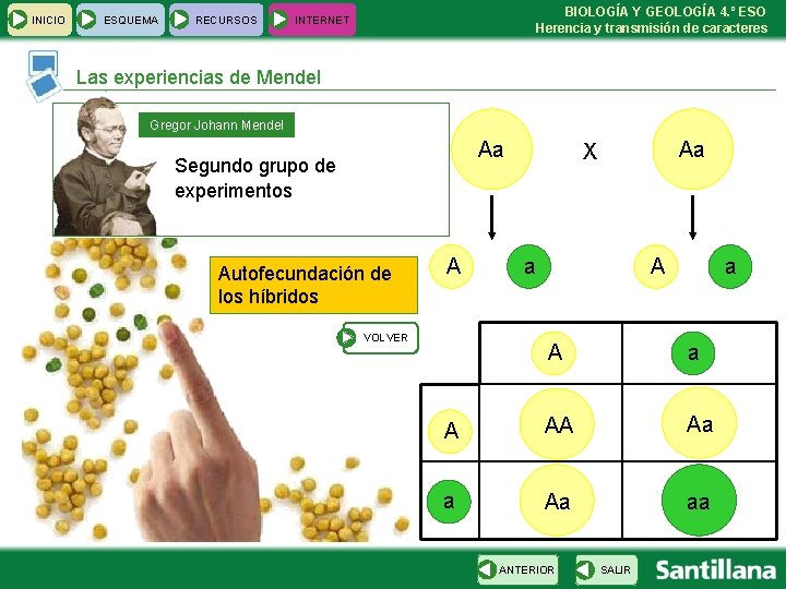 INICIO ESQUEMA RECURSOS BIOLOGÍA Y GEOLOGÍA 4. º ESO Herencia y transmisión de caracteres