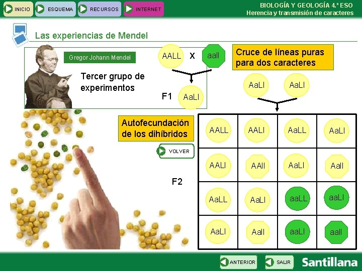 INICIO ESQUEMA RECURSOS BIOLOGÍA Y GEOLOGÍA 4. º ESO Herencia y transmisión de caracteres