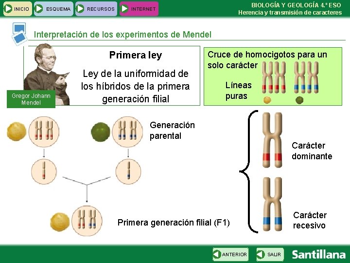 INICIO ESQUEMA RECURSOS BIOLOGÍA Y GEOLOGÍA 4. º ESO Herencia y transmisión de caracteres