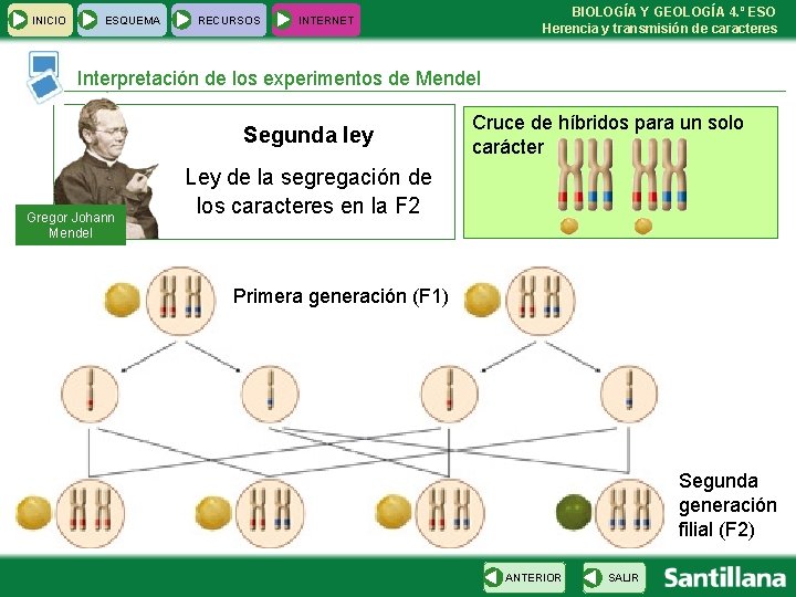 INICIO ESQUEMA RECURSOS BIOLOGÍA Y GEOLOGÍA 4. º ESO Herencia y transmisión de caracteres