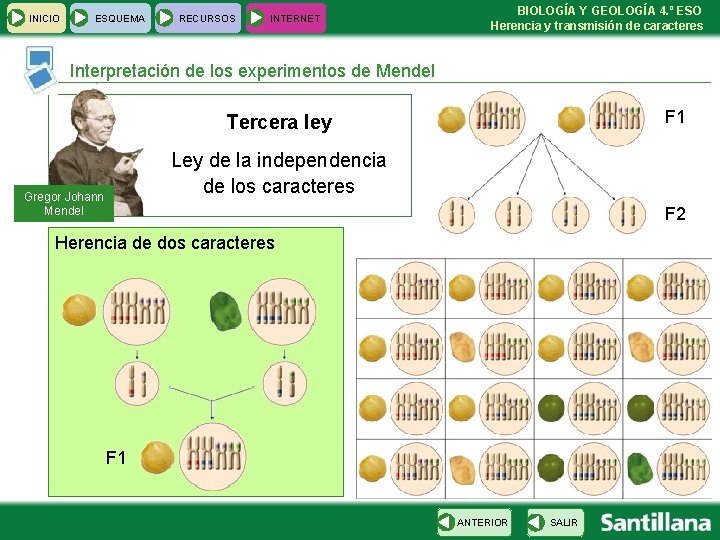 INICIO ESQUEMA RECURSOS INTERNET BIOLOGÍA Y GEOLOGÍA 4. º ESO Herencia y transmisión de