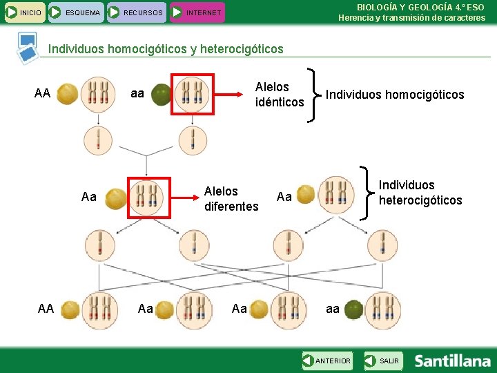 INICIO ESQUEMA RECURSOS BIOLOGÍA Y GEOLOGÍA 4. º ESO Herencia y transmisión de caracteres