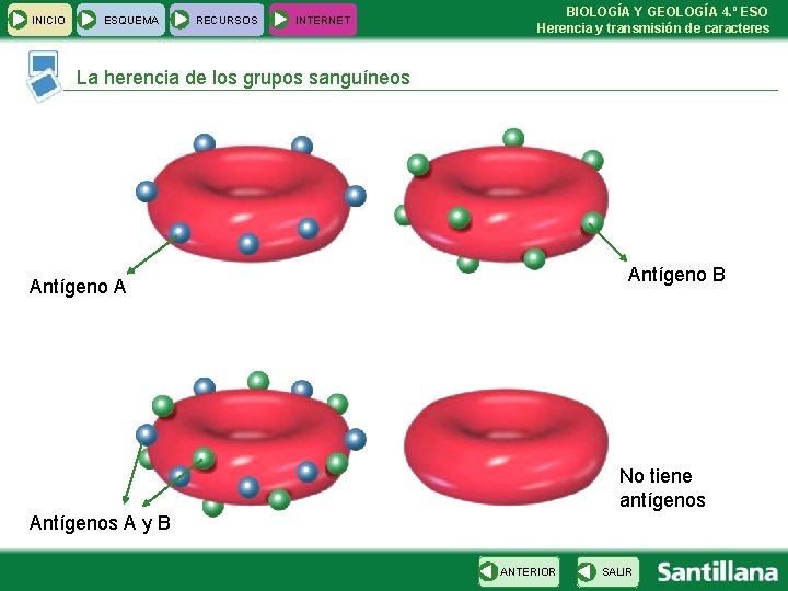 INICIO ESQUEMA RECURSOS INTERNET BIOLOGÍA Y GEOLOGÍA 4. º ESO Herencia y transmisión de