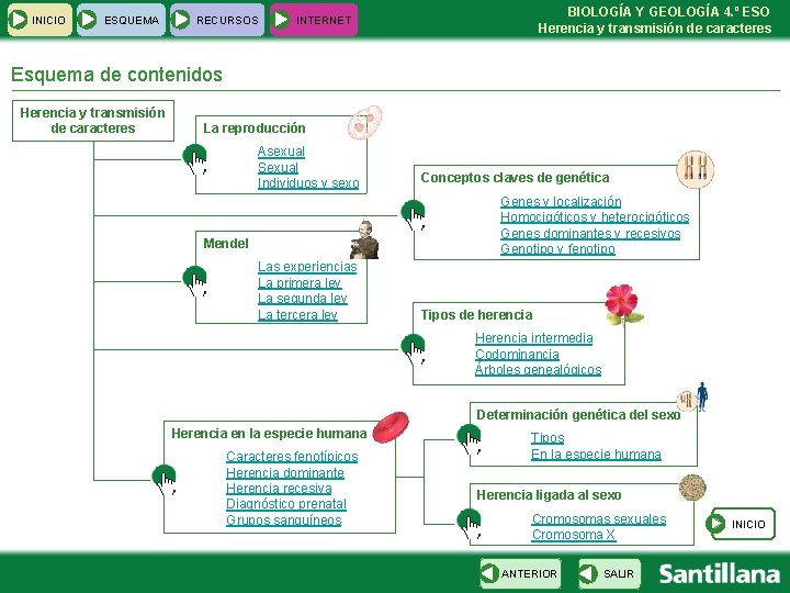 INICIO ESQUEMA RECURSOS BIOLOGÍA Y GEOLOGÍA 4. º ESO Herencia y transmisión de caracteres