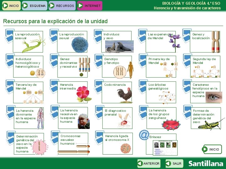 INICIO ESQUEMA RECURSOS BIOLOGÍA Y GEOLOGÍA 4. º ESO Herencia y transmisión de caracteres