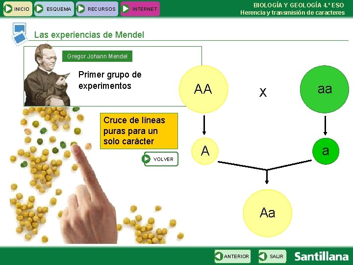 INICIO ESQUEMA RECURSOS BIOLOGÍA Y GEOLOGÍA 4. º ESO Herencia y transmisión de caracteres