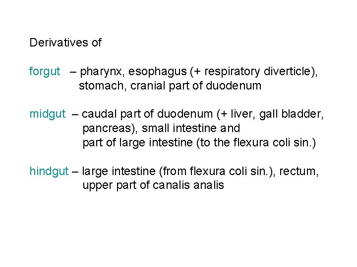 Derivatives of forgut – pharynx, esophagus (+ respiratory diverticle), stomach, cranial part of duodenum