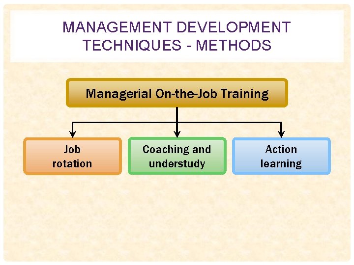 MANAGEMENT DEVELOPMENT TECHNIQUES - METHODS Managerial On-the-Job Training Job rotation Coaching and understudy Action