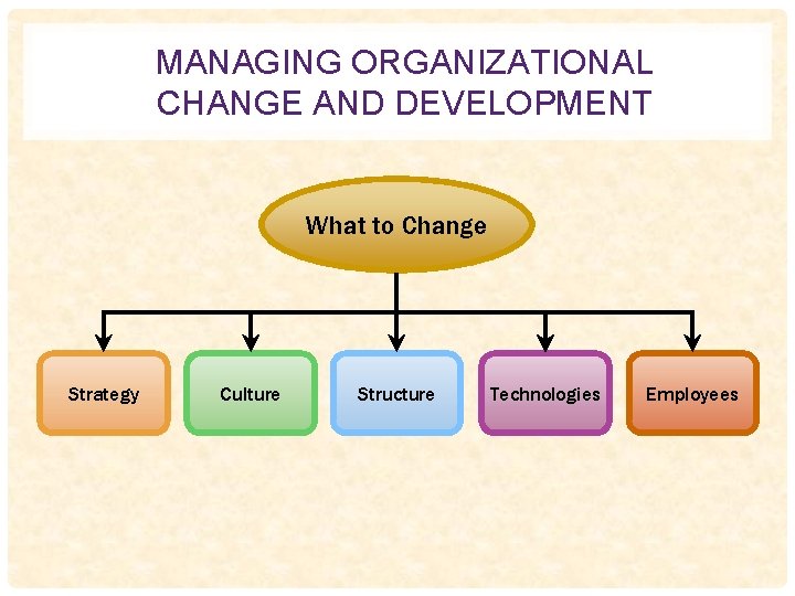 MANAGING ORGANIZATIONAL CHANGE AND DEVELOPMENT What to Change Strategy Culture Structure Technologies Employees 