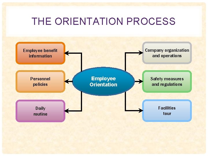 THE ORIENTATION PROCESS Company organization and operations Employee benefit information Personnel policies Daily routine