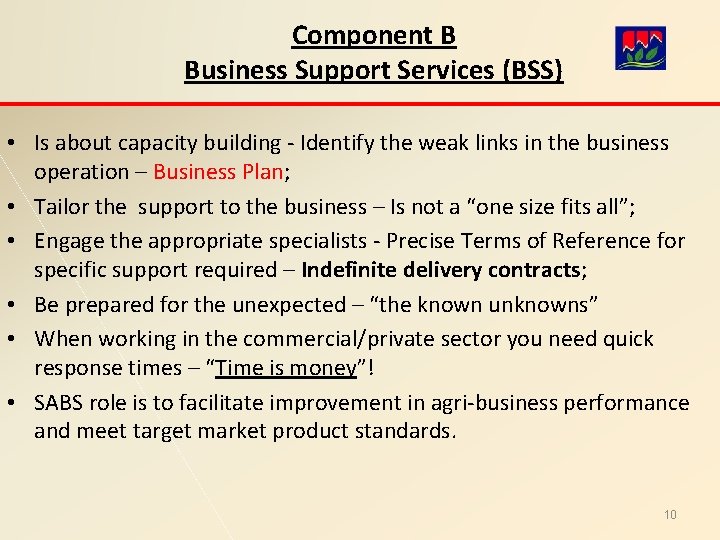 Component B Business Support Services (BSS) • Is about capacity building - Identify the