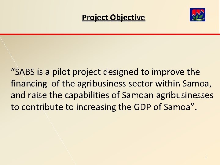 Project Objective “SABS is a pilot project designed to improve the financing of the