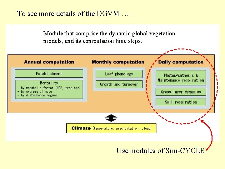 To see more details of the DGVM …. Module that comprise the dynamic global