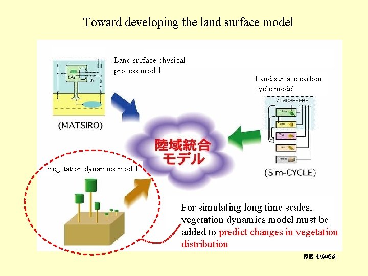 Toward developing the land surface model Land surface physical process model Land surface carbon