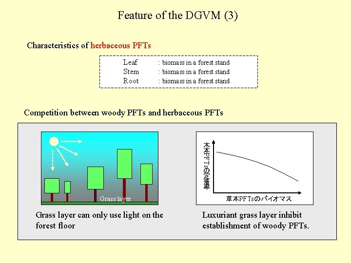 Feature of the DGVM (3) Characteristics of herbaceous PFTs Leaf Stem Root : biomass