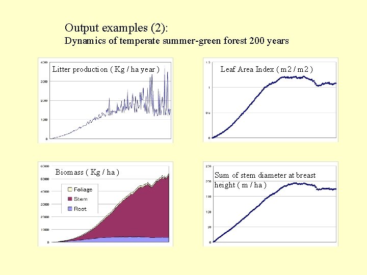 Output examples (2): Dynamics of temperate summer-green forest 200 years Litter production ( Kg