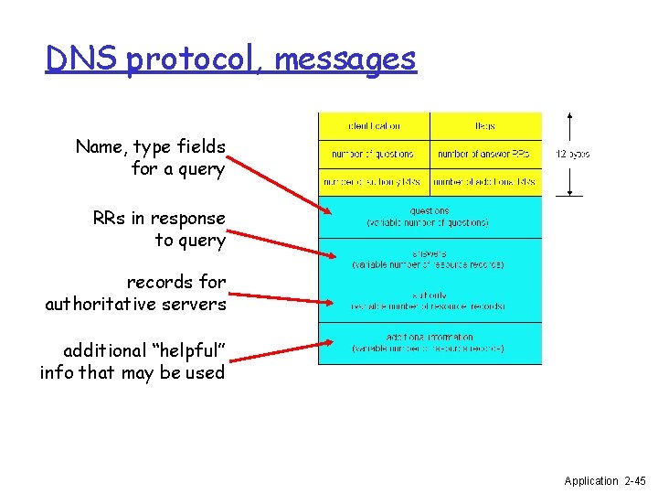 DNS protocol, messages Name, type fields for a query RRs in response to query