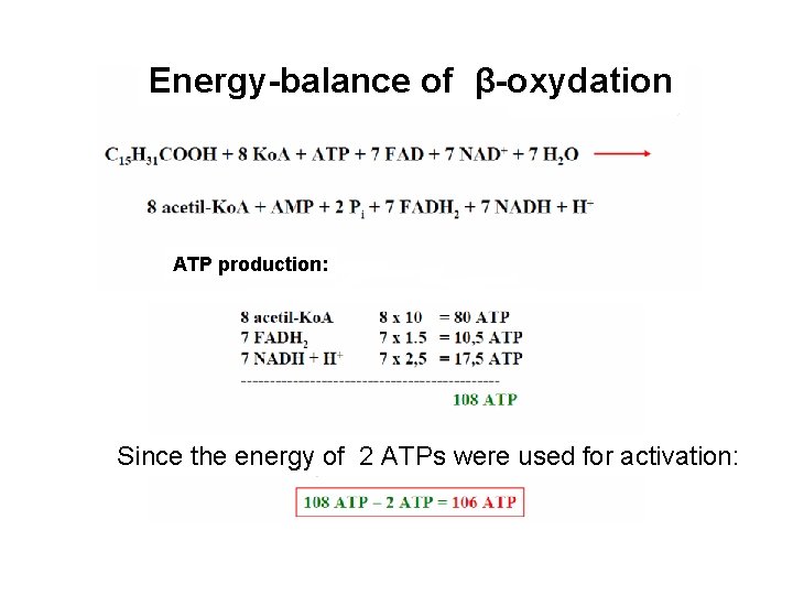 Energy-balance of β-oxydation ATP production: Since the energy of 2 ATPs were used for