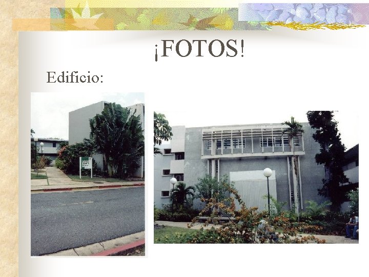 ¡FOTOS! Edificio: 