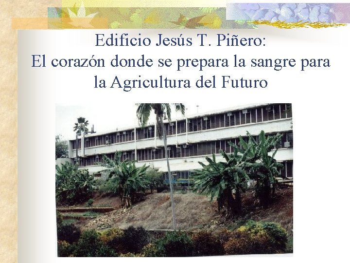 Edificio Jesús T. Piñero: El corazón donde se prepara la sangre para la Agricultura