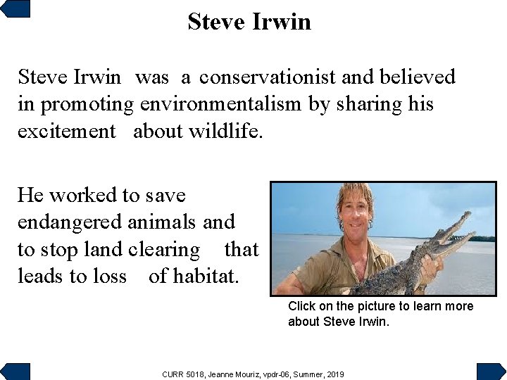Steve Irwin was a conservationist and believed in promoting environmentalism by sharing his excitement