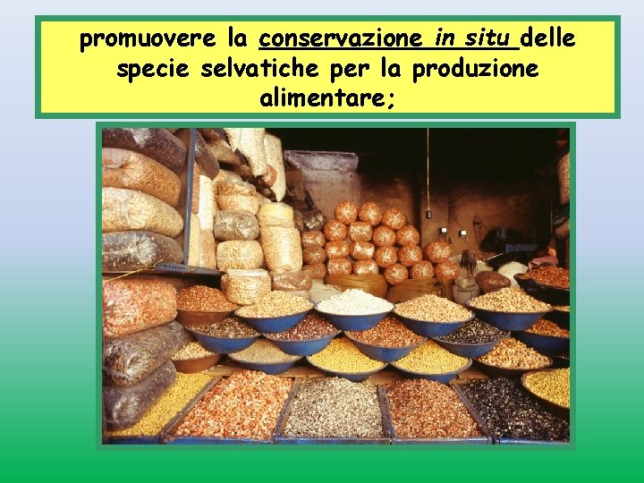 promuovere la conservazione in situ delle specie selvatiche per la produzione alimentare; 