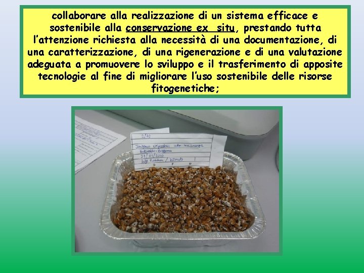 collaborare alla realizzazione di un sistema efficace e sostenibile alla conservazione ex situ, prestando