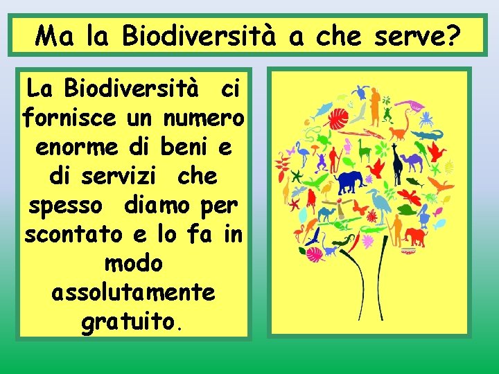 Ma la Biodiversità a che serve? La Biodiversità ci fornisce un numero enorme di
