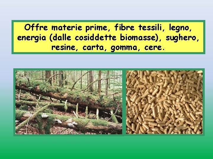 Offre materie prime, fibre tessili, legno, energia (dalle cosiddette biomasse), sughero, resine, carta, gomma,