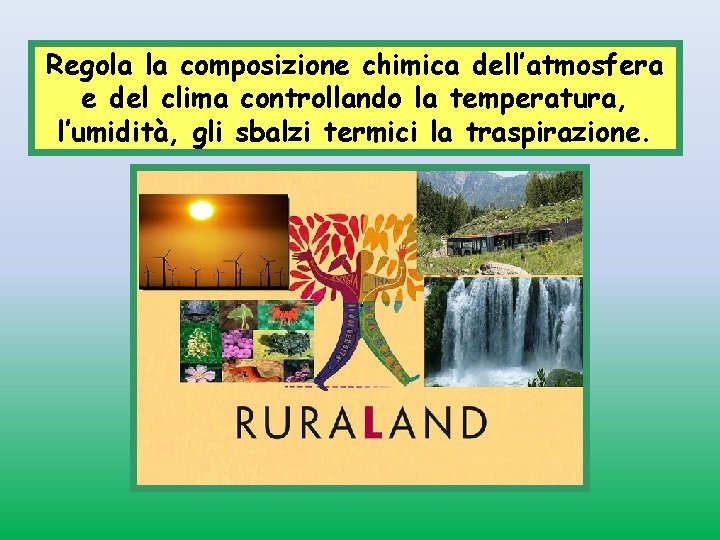 Regola la composizione chimica dell’atmosfera e del clima controllando la temperatura, l’umidità, gli sbalzi