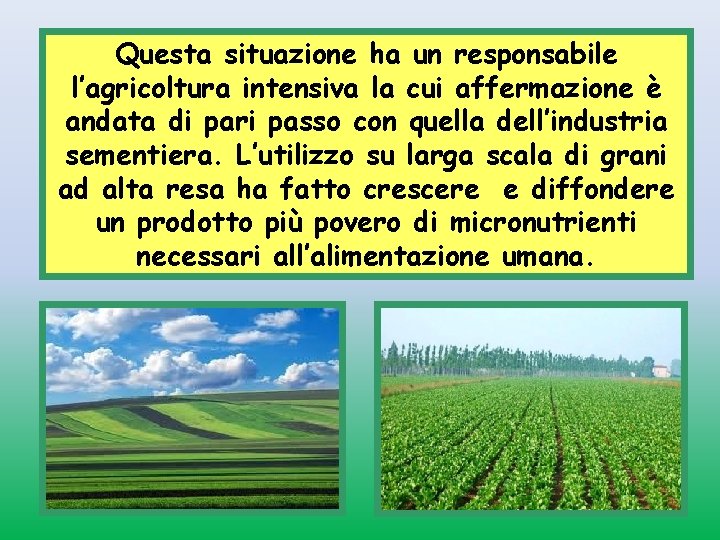 Questa situazione ha un responsabile l’agricoltura intensiva la cui affermazione è andata di pari