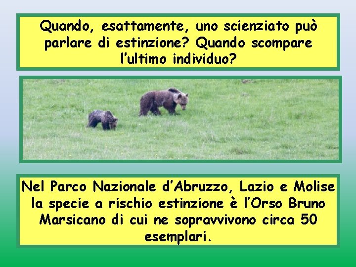 Quando, esattamente, uno scienziato può parlare di estinzione? Quando scompare l’ultimo individuo? Nel Parco