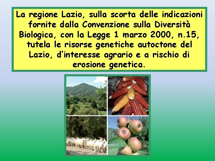 La regione Lazio, sulla scorta delle indicazioni fornite dalla Convenzione sulla Diversità Biologica, con