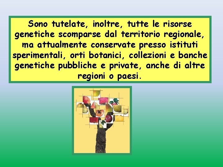 Sono tutelate, inoltre, tutte le risorse genetiche scomparse dal territorio regionale, ma attualmente conservate