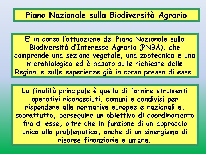 Piano Nazionale sulla Biodiversità Agrario E’ in corso l’attuazione del Piano Nazionale sulla Biodiversità