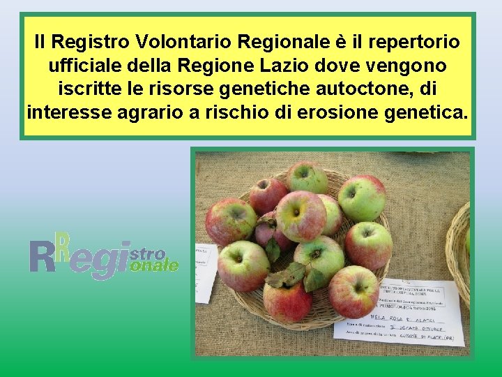 Il Registro Volontario Regionale è il repertorio ufficiale della Regione Lazio dove vengono iscritte