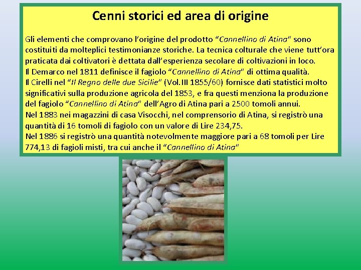 Cenni storici ed area di origine Gli elementi che comprovano l’origine del prodotto “Cannellino