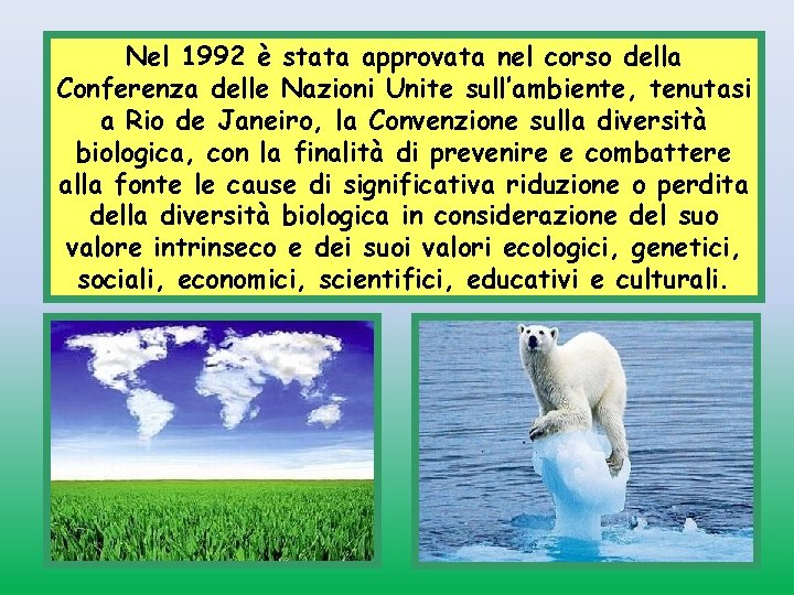 Nel 1992 è stata approvata nel corso della Conferenza delle Nazioni Unite sull’ambiente, tenutasi