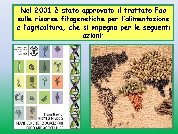 Nel 2001 è stato approvato il trattato Fao sulle risorse fitogenetiche per l’alimentazione e