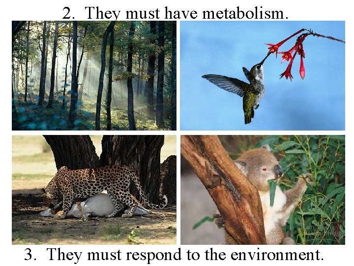 2. They must have metabolism. 3. They must respond to the environment. 