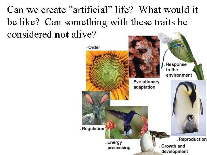 Can we create “artificial” life? What would it be like? Can something with these