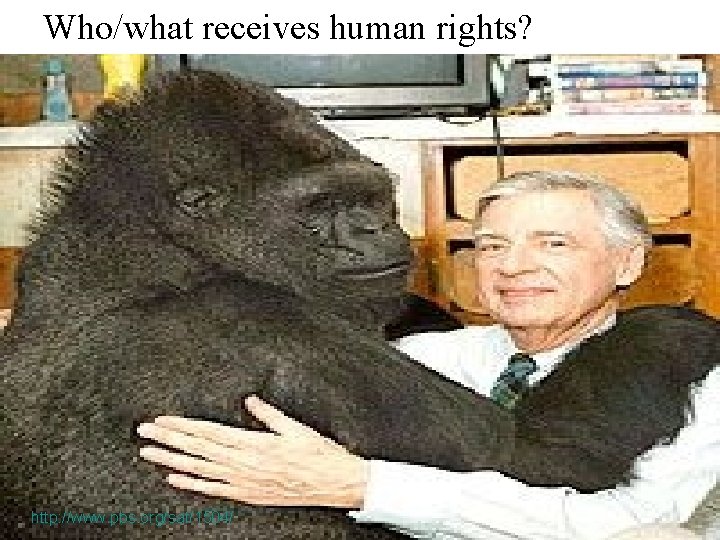 Who/what receives human rights? http: //www. pbs. org/saf/1504/ 