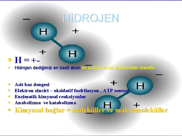 HİDROJEN § H = +- § Hidrojen dediğimiz en basit atom bir proton ve