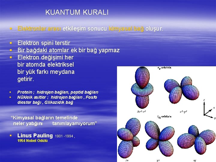 KUANTUM KURALI § Elektronlar arası etkileşim sonucu kimyasal bağ oluşur. § Elektron spini terstir